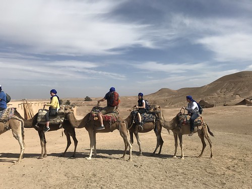 Agafay Desert Camel Ride