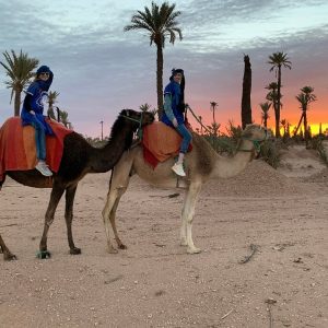 Balade à dos de chameau à Marrakech