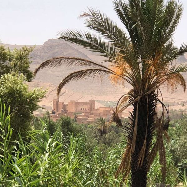 Excursão de 2 dias de Marrakech ao deserto de Zagora