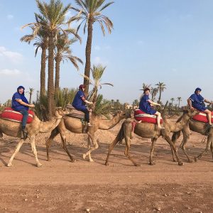 Balade à dos de chameau à Marrakech