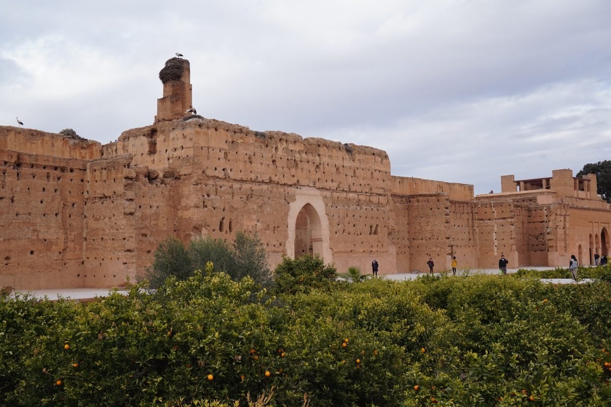 Top 1 Marrakech Day Trip From Agadir