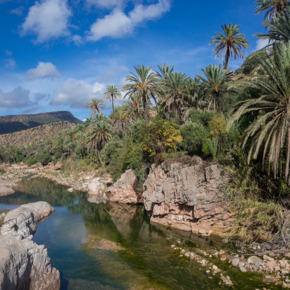 Paradise Valley Day Tour From Agadir