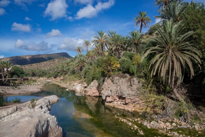 Paradise Valley Day Tour From Agadir