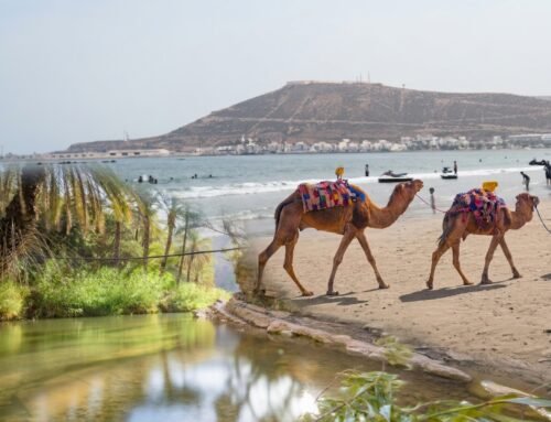 How to Spend 3 Days in Agadir: The Perfect Itinerary (2026)