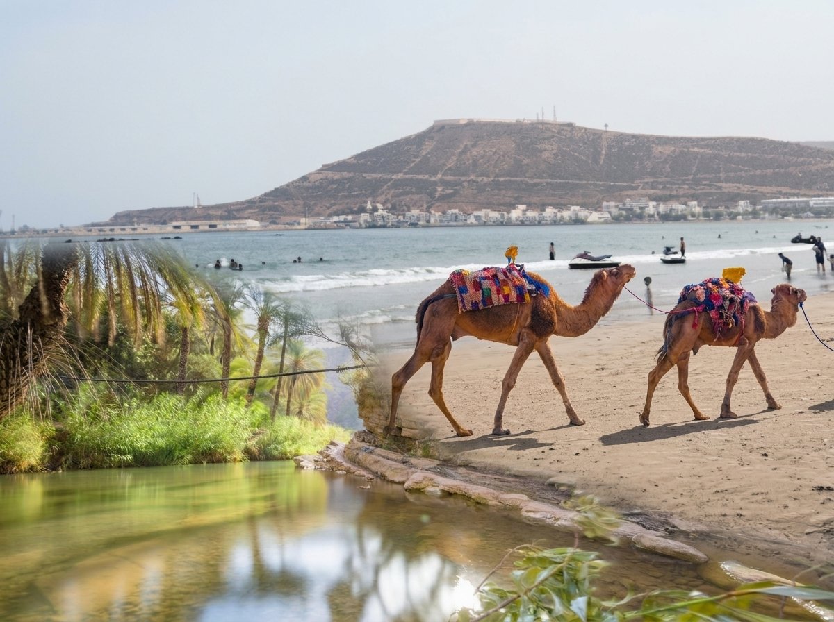 3 days in Agadir beach promenade at sunrise with palm trees and clear Atlantic ocean