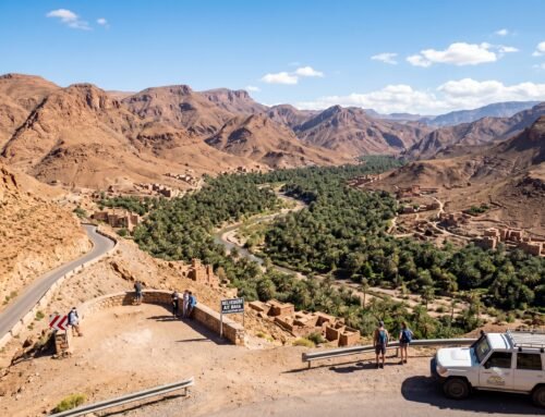 Top 10 Excursions from Agadir Ranked by Locals (2026)